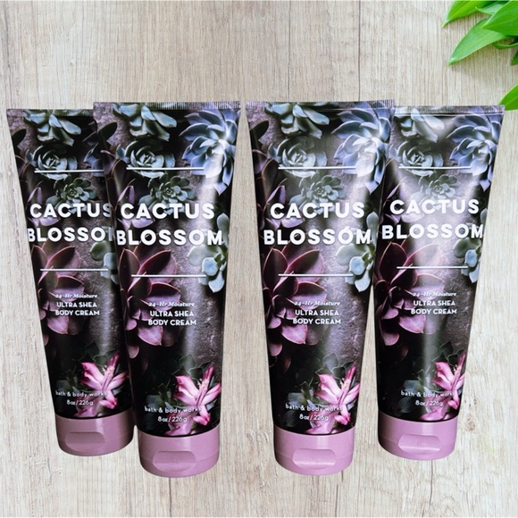 Bath & Body Works CATCUS BLOSSOM Body Creams 8 OZ X3 New!